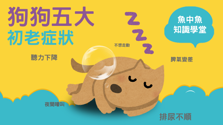 狗狗五大初老症狀 主要圖片