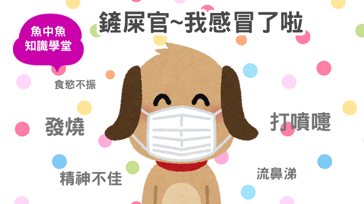 出現這些症狀時,當心狗狗已經感冒了 主要圖片