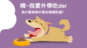 為什麼狗狗不愛在碗裡吃飯？