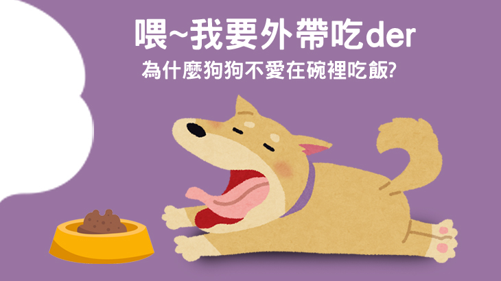 為什麼狗狗不愛在碗裡吃飯? 主要圖片