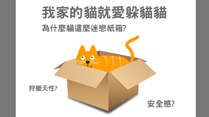 就愛躲貓貓! 主要圖片