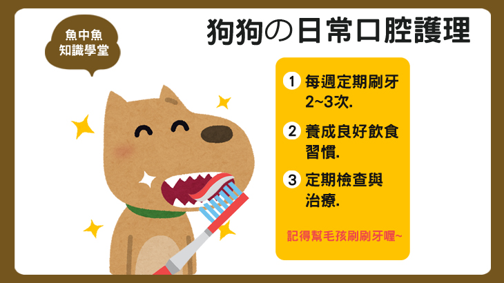 狗狗日常口腔護理 主要圖片