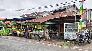 參訪泗水坤甸龍魚發源地